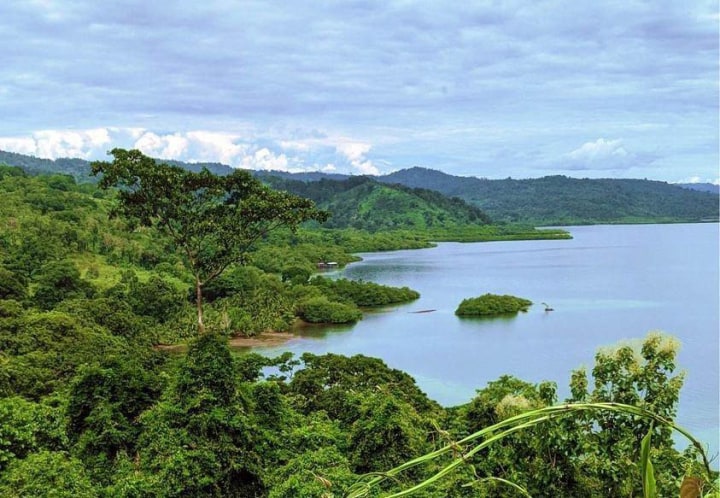 Howler Mountain, Bocas del Toro