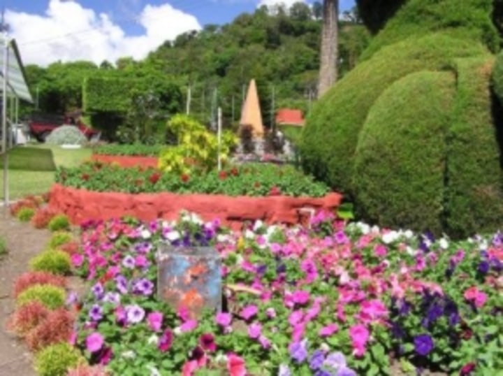 Boquete flower gardens