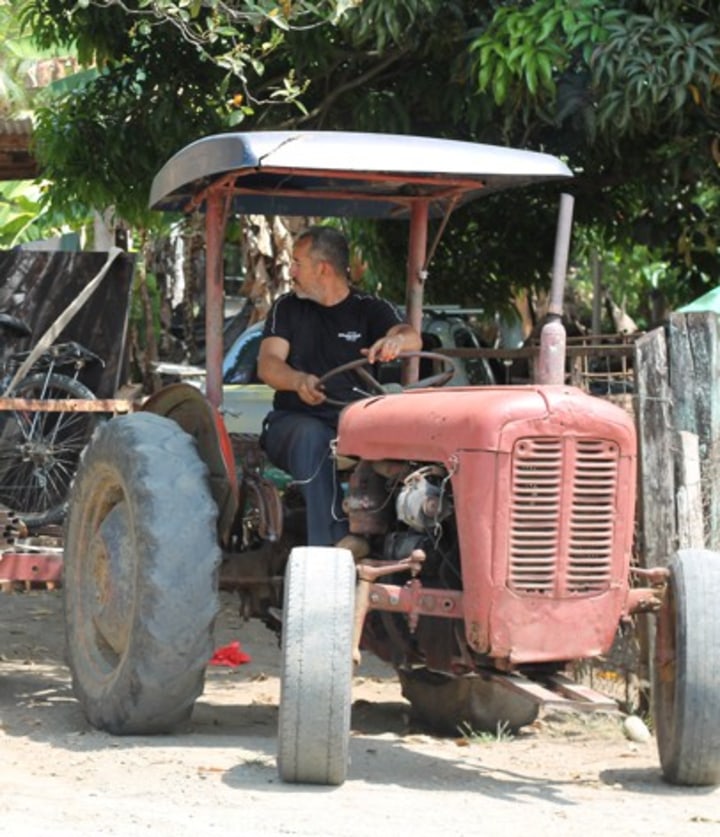 Lalo driving his tractor