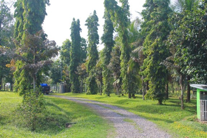 Entrance to the farm