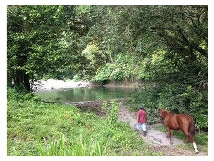 Person going to the river