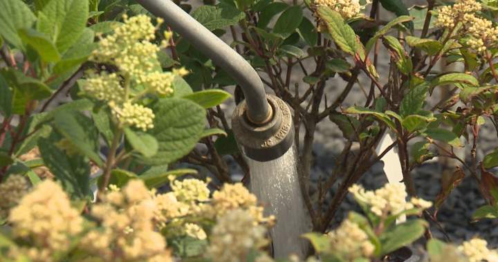 Metro Vancouver to implement Stage 3 water restrictions starting June 8, with review planned for later summer