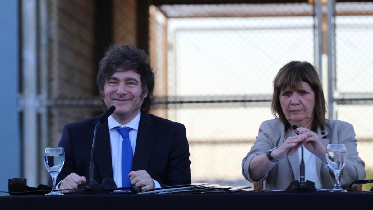 Tensiones en el oficialismo por el debate de pliegos judiciales y el rol de Patricia Bullrich en el Senado