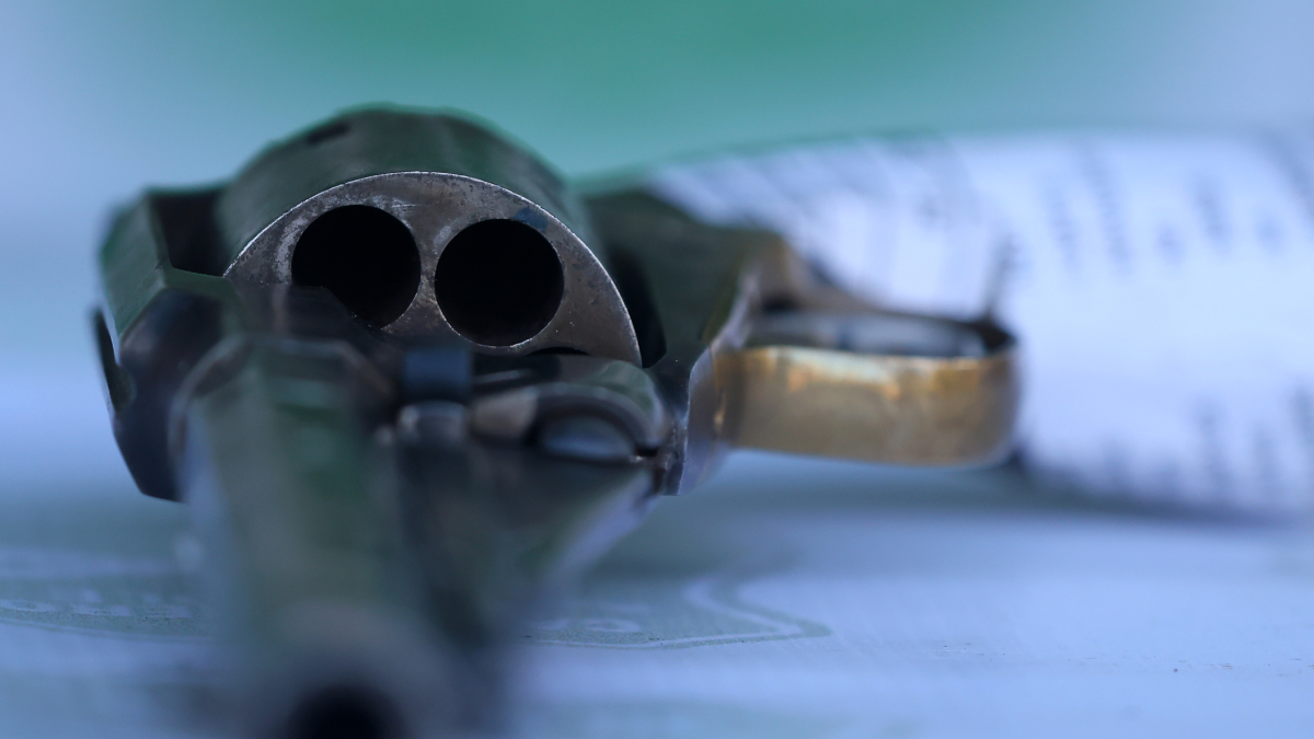 Senado avanza en proyecto que restringe armas a personas procesadas o condenadas por violencia intrafamiliar