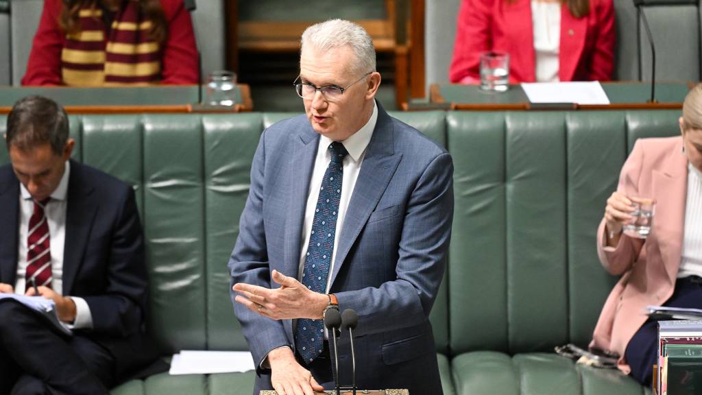 Tony Burke comments on migration and housing supply spark political debate