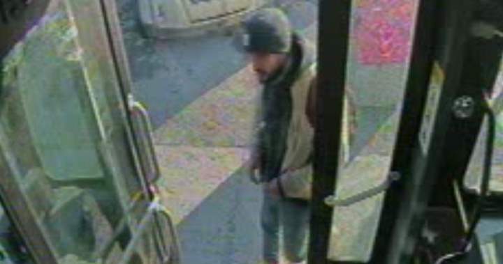 Montreal police investigate multiple alleged sexual assaults on metro and bus system, seek additional victims