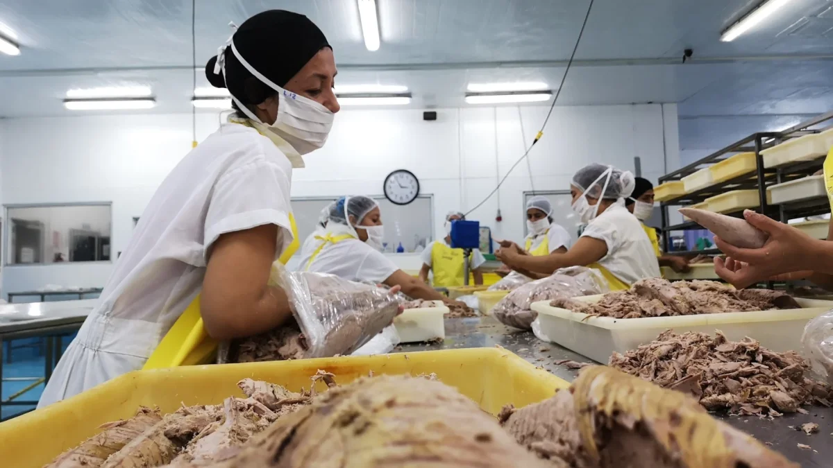 El sector atunero ecuatoriano identifica cuatro problemas clave que afectan su competitividad internacional