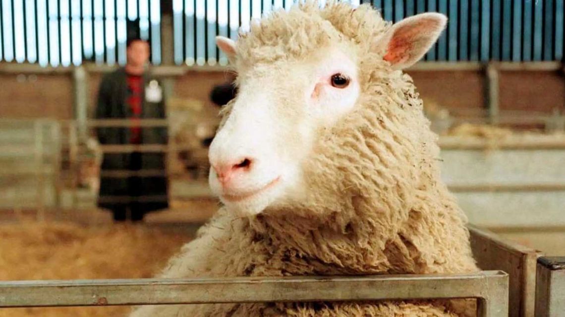 La revolución científica de Dolly: cómo la clonación cambió la biología