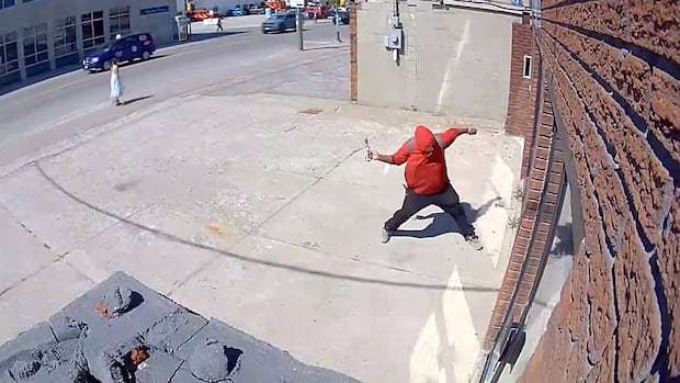 Timmins reptile store owner faces charges after confronting alleged vandal
