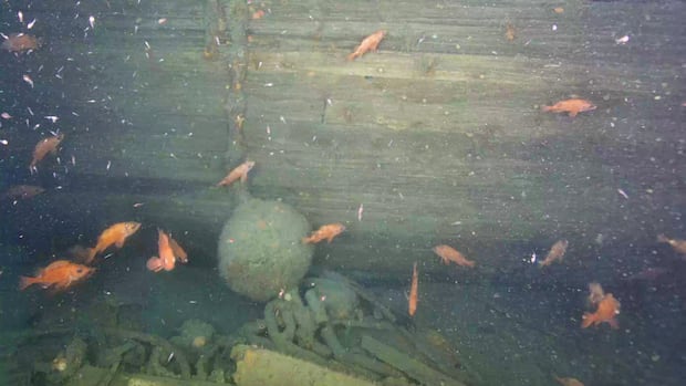Expedition Uncovers Sunken Ship Quest, Final Vessel of Ernest Shackleton