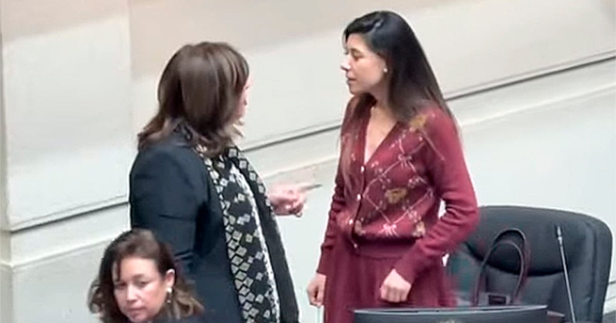 Senadoras Vodanovic y Cicardini enfrentan públicamente sus diferencias por negociaciones sobre la megarreforma en el Senado