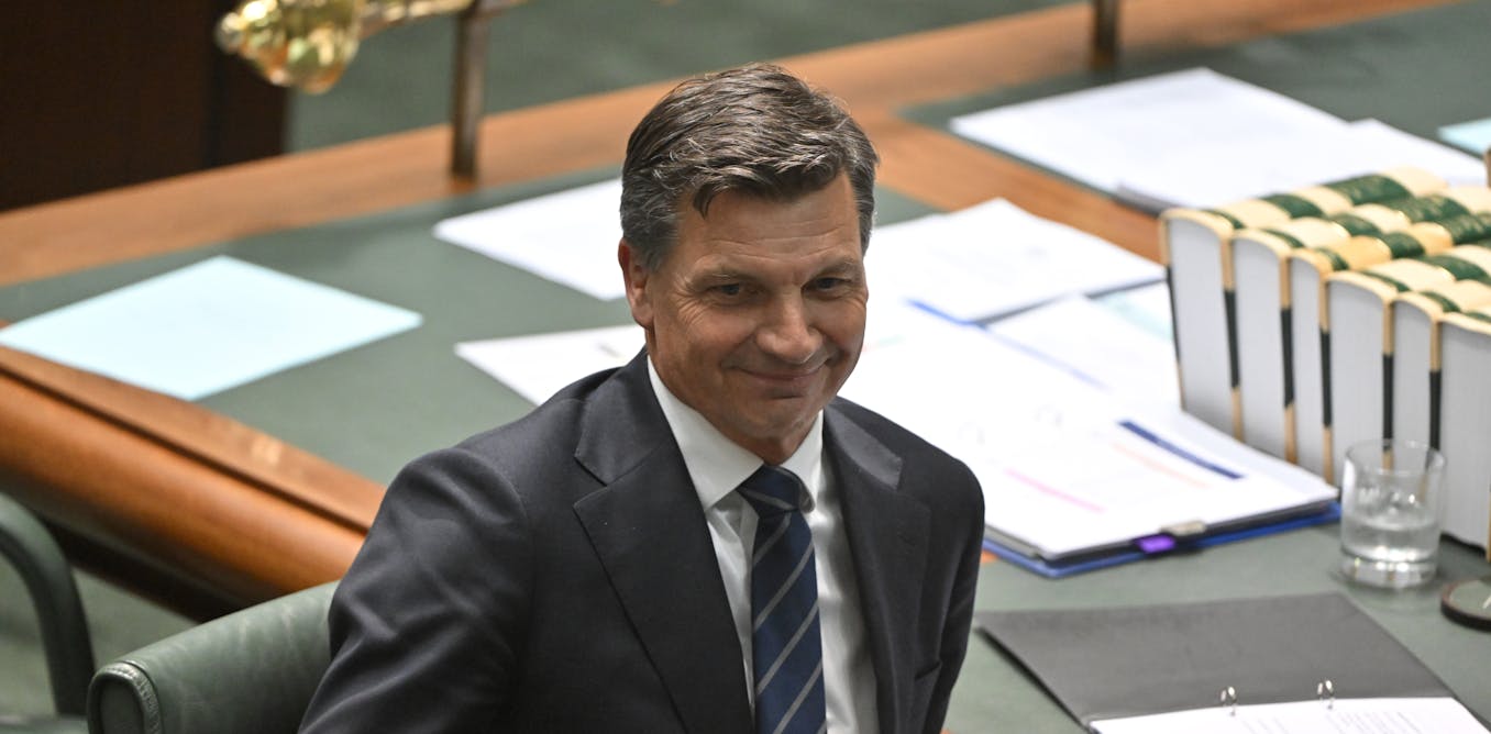 Angus Taylor criticizes One Nation's fiscal risks and warns of economic turmoil