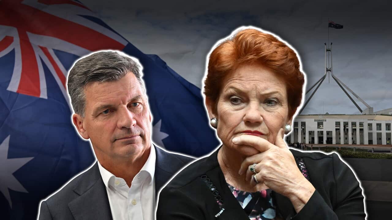 Pauline Hanson and Angus Taylor clash over One Nation policies and election strategies