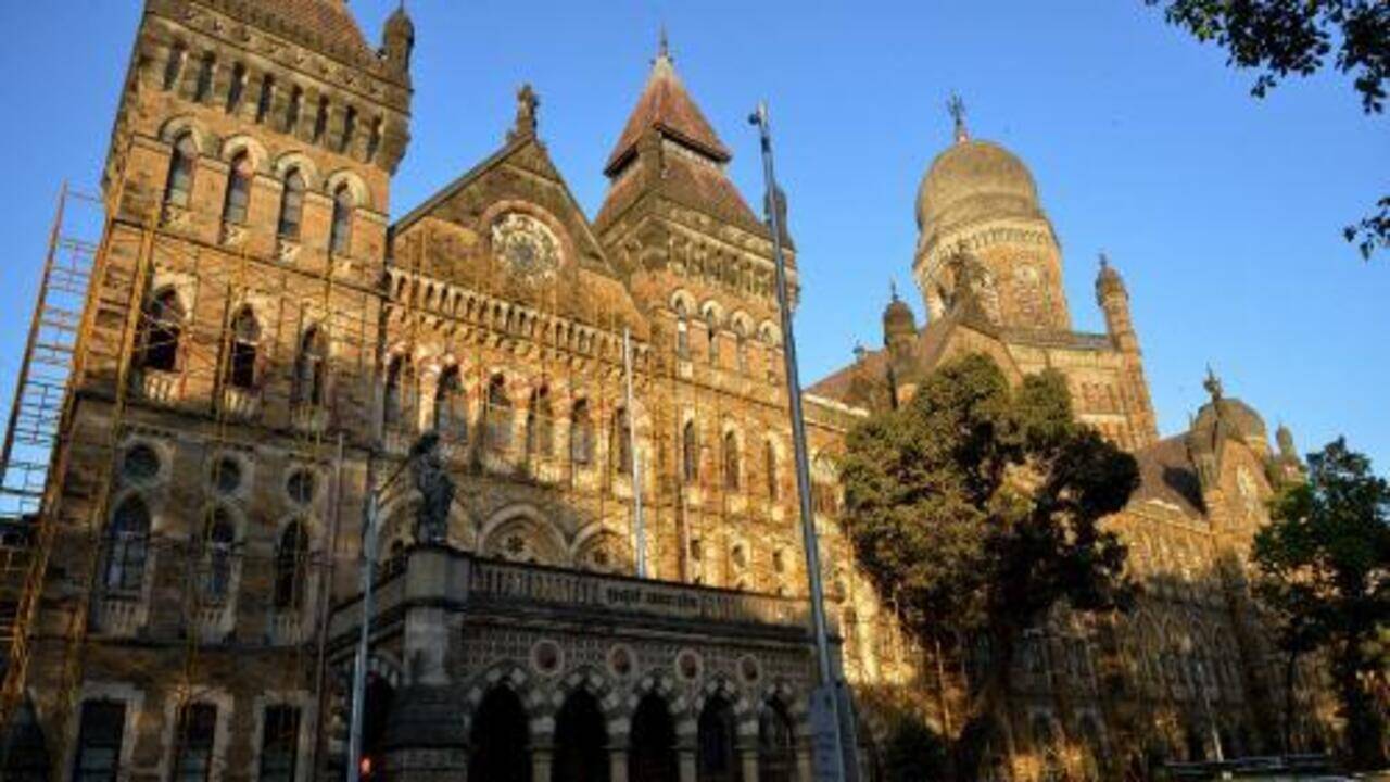 Women Corporators from AIMIM and NCP Disqualified for Invalid Caste Certificates