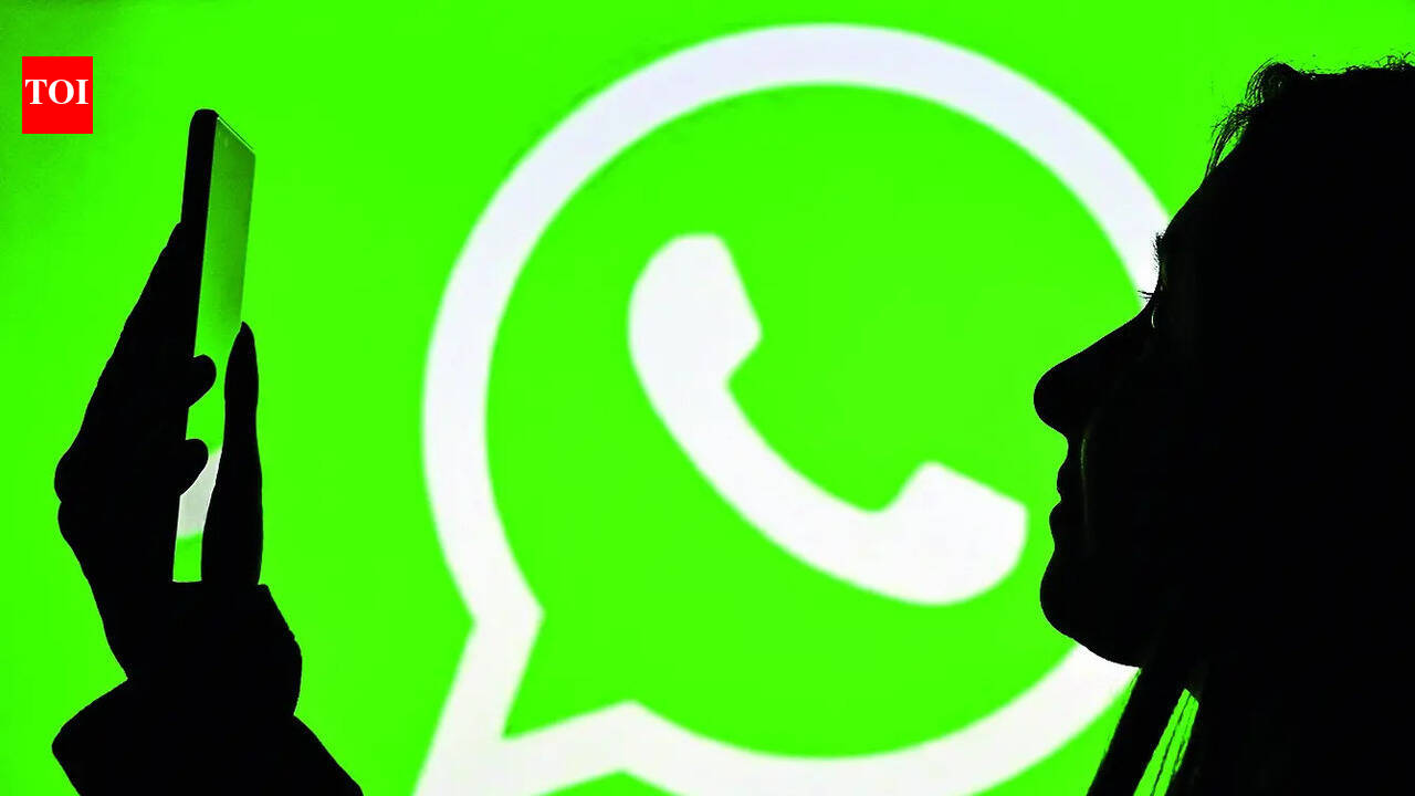 India Reviews Meta's Response to WhatsApp Usernames Feature; Rollout Delayed