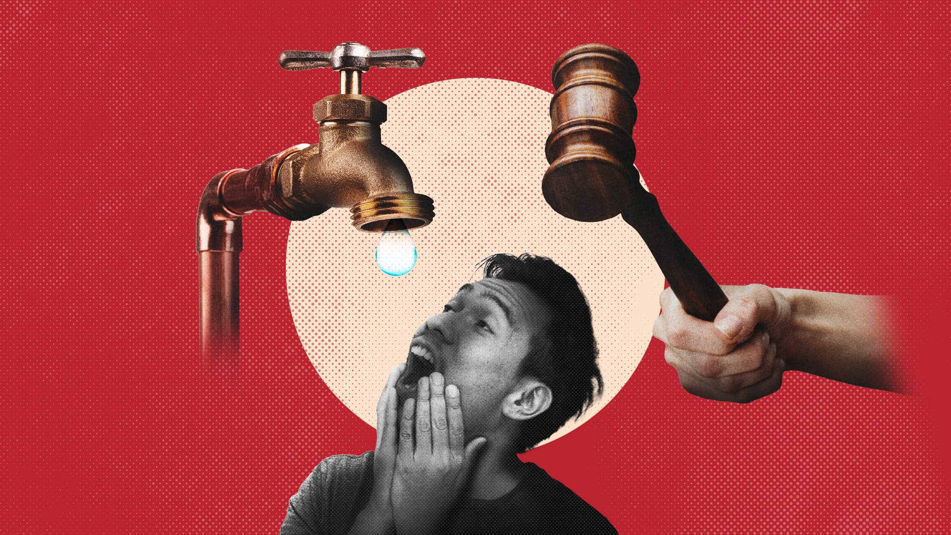 Corporate Practices and Public Service Disparities