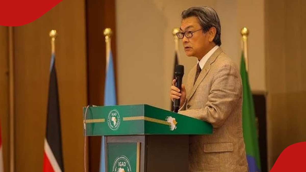 Japan Allows Visa-Free Travel for 74 Countries Including Three African Nations