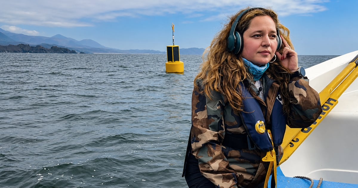 Bióloga chilena desarrolla tecnología con inteligencia artificial para monitorear ballenas y hacer más sostenible la actividad marítima