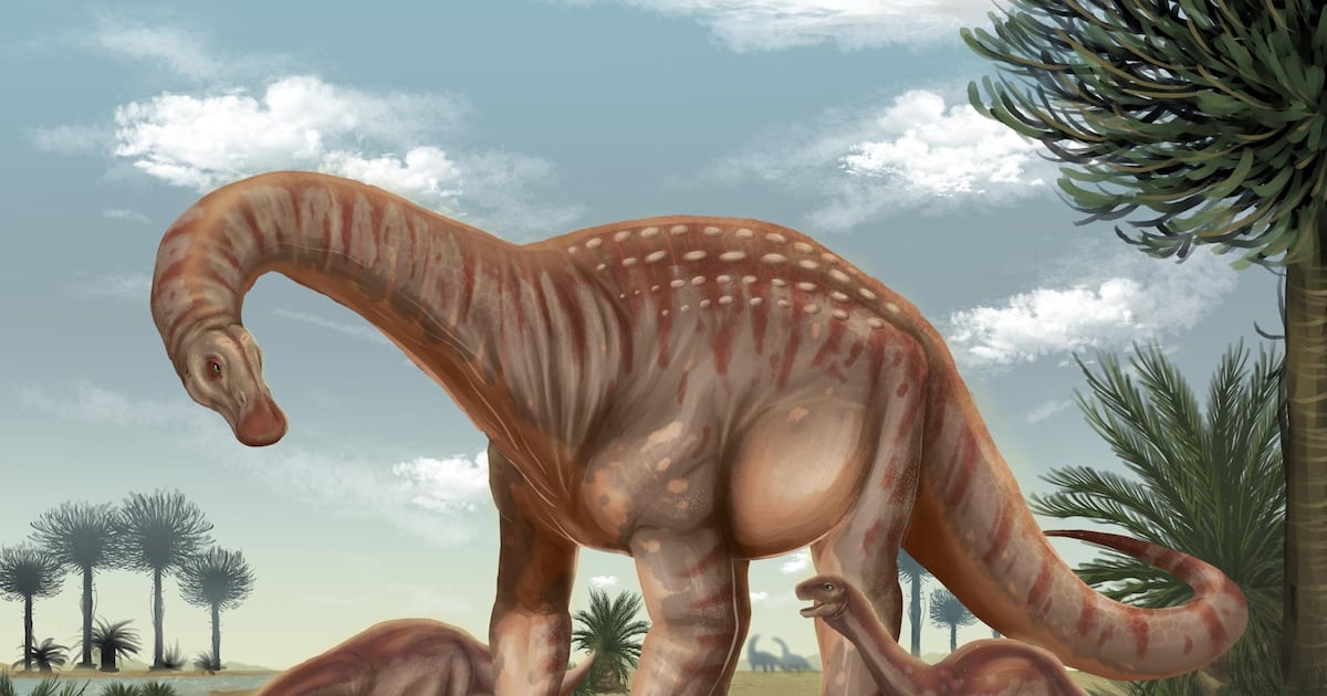 Descubren nuevo dinosaurio en Uruguay: Mesetasaurus protector