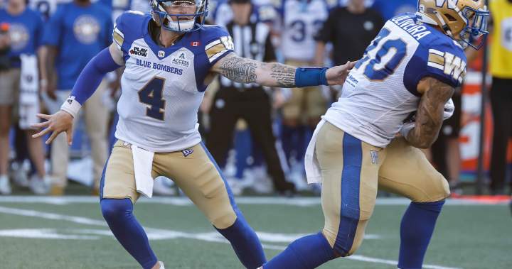 Dru Brown shines as Winnipeg Blue Bombers secure second consecutive victory