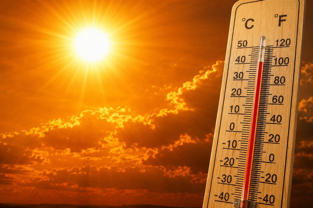 El Niño's Impact: South Africa Faces Extreme Heat and Drought Risks