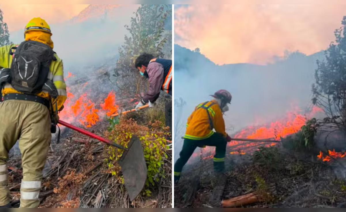 Incendio en Sacsayhuamán: Capturan a presunto responsable
