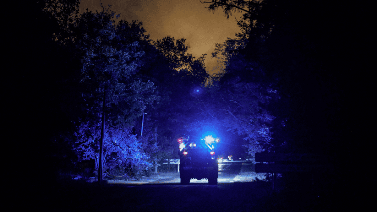 Incendio forestal en Fontainebleau: 500 bomberos y aviones combaten el fuego