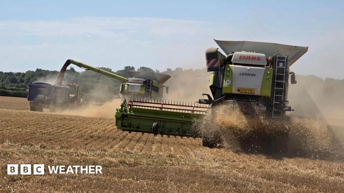 UK Heatwave Continues with Prolonged Dry Spells and Wildfire Risks