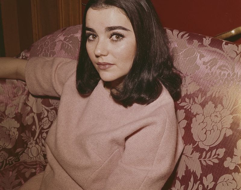 Brigid Bazlen: The Tragic Life of a 1960s Hollywood Star