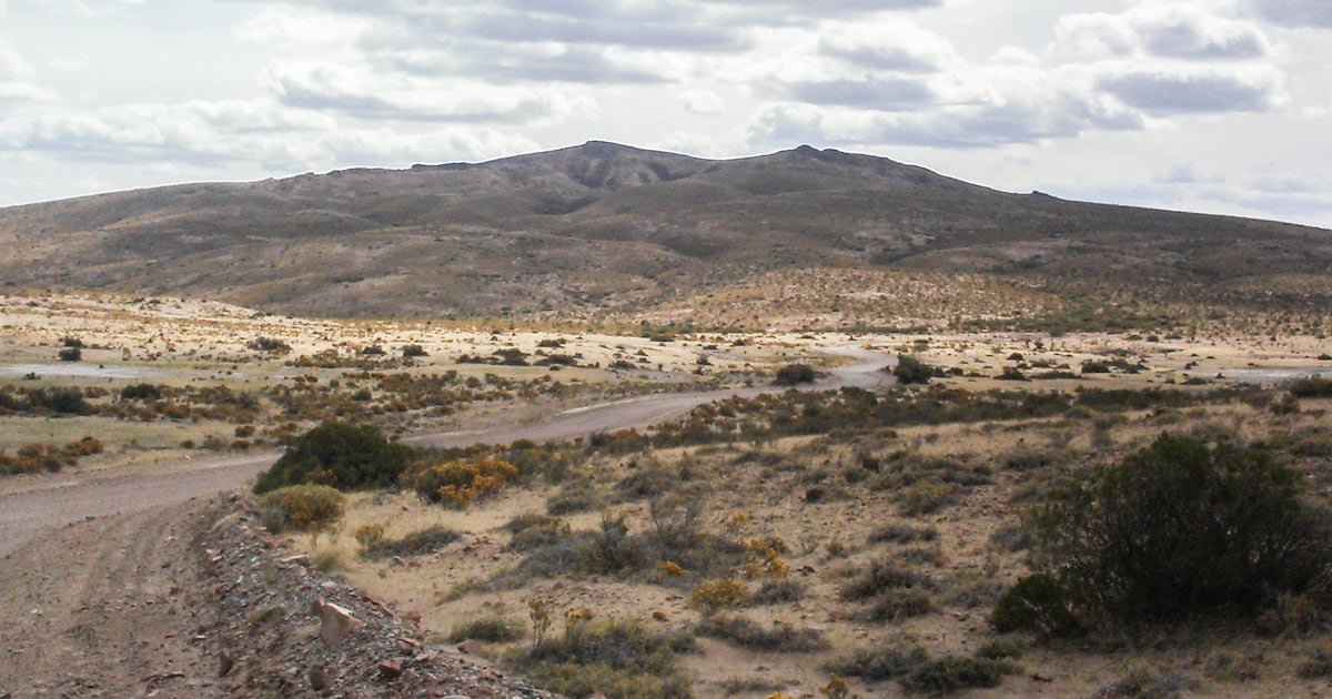 Argentina aprueba proyecto para facilitar compra de tierras por extranjeros