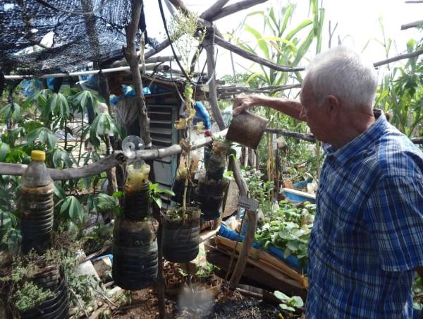 Un anciano cultiva en la azotea de La Habana