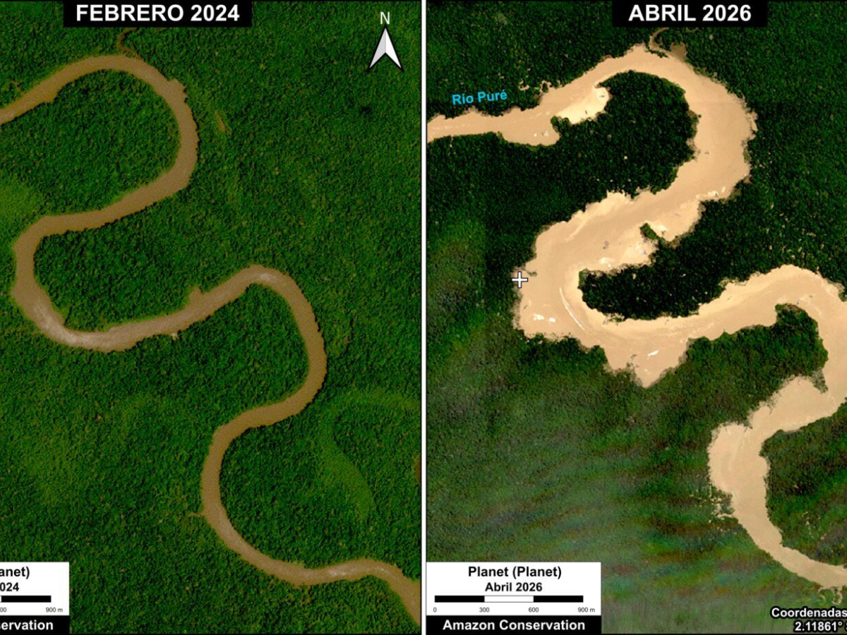 Deforestation in the Puré River Linked to Mining Activities in the Amazon