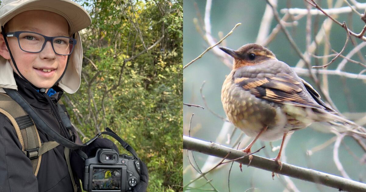 Calgary Family Honors Boy’s Cancer Battle with Birdwatching Tribute