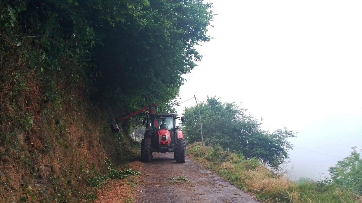 Salas desbroza 190 pueblos con tractor propio: el alcalde explica el plan de mantenimiento viario