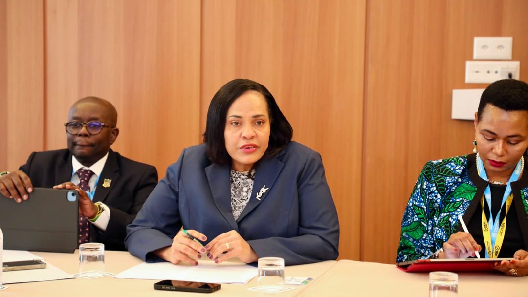 Brazil and Poland Support Tanzania's Digital Growth Initiatives