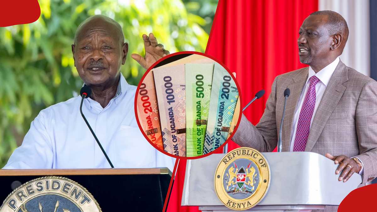 Kenyan Shilling Maintains Stability Against EAC Currencies Amid Rising Foreign Reserves