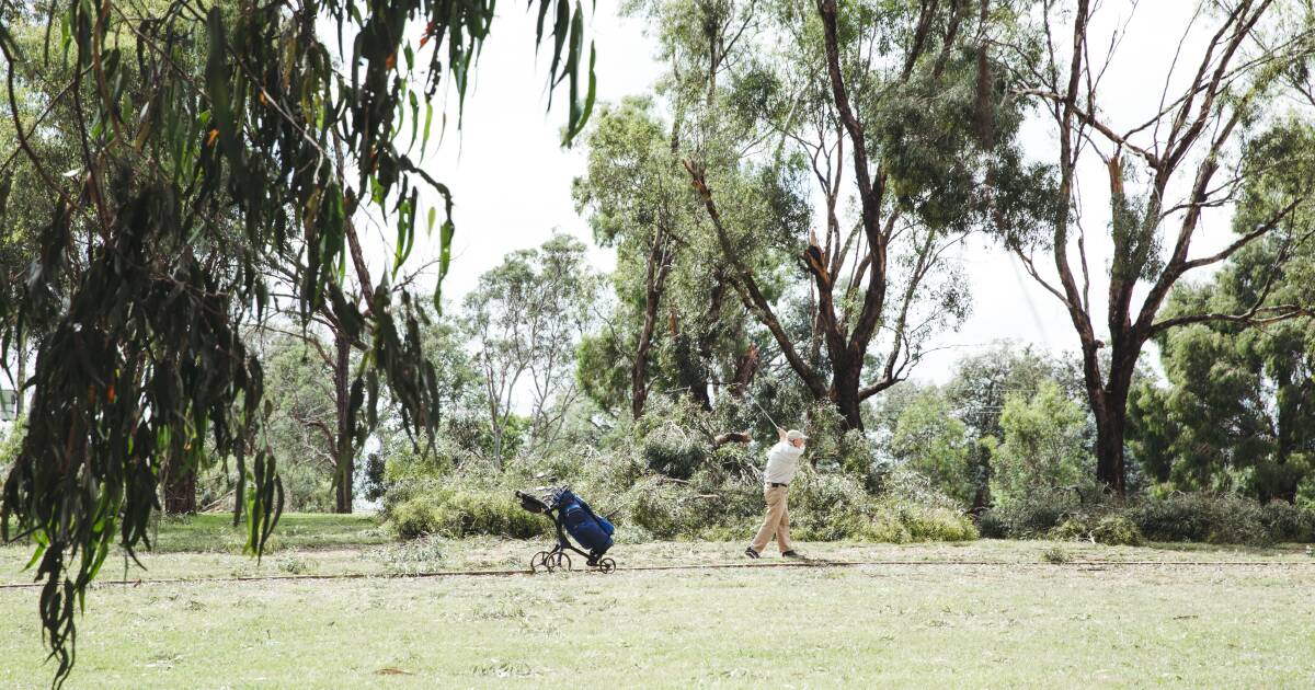 Optus and TPG propose 25-metre phone tower on Burns Club golf course