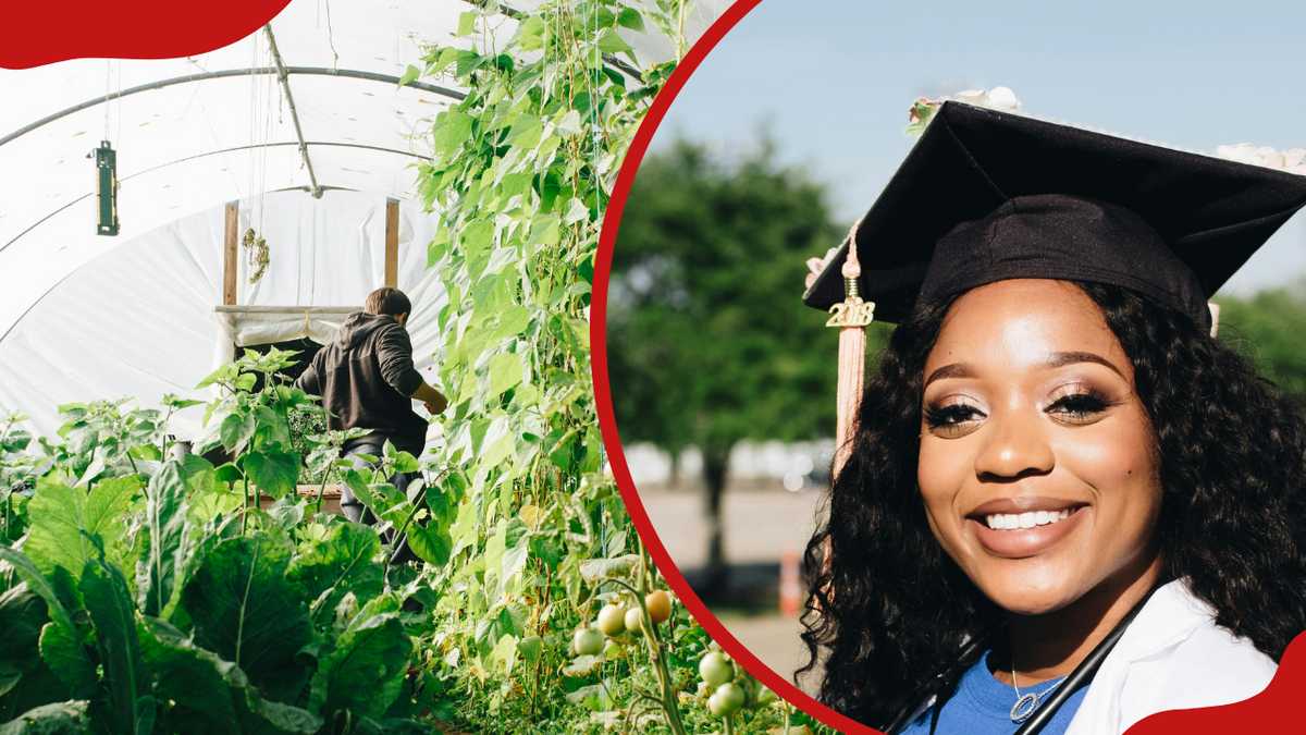 Agriculture Education and Careers in Kenya