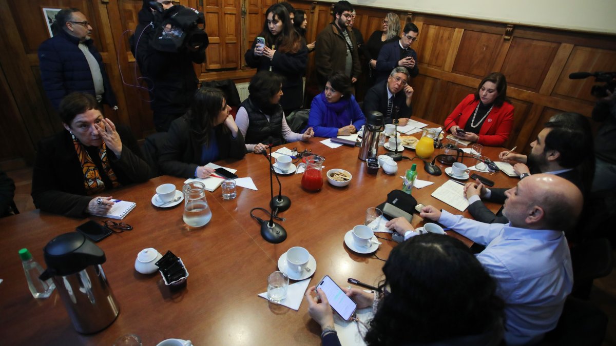 Oposición presentará requerimientos contra megareforma en Tribunal Constitucional