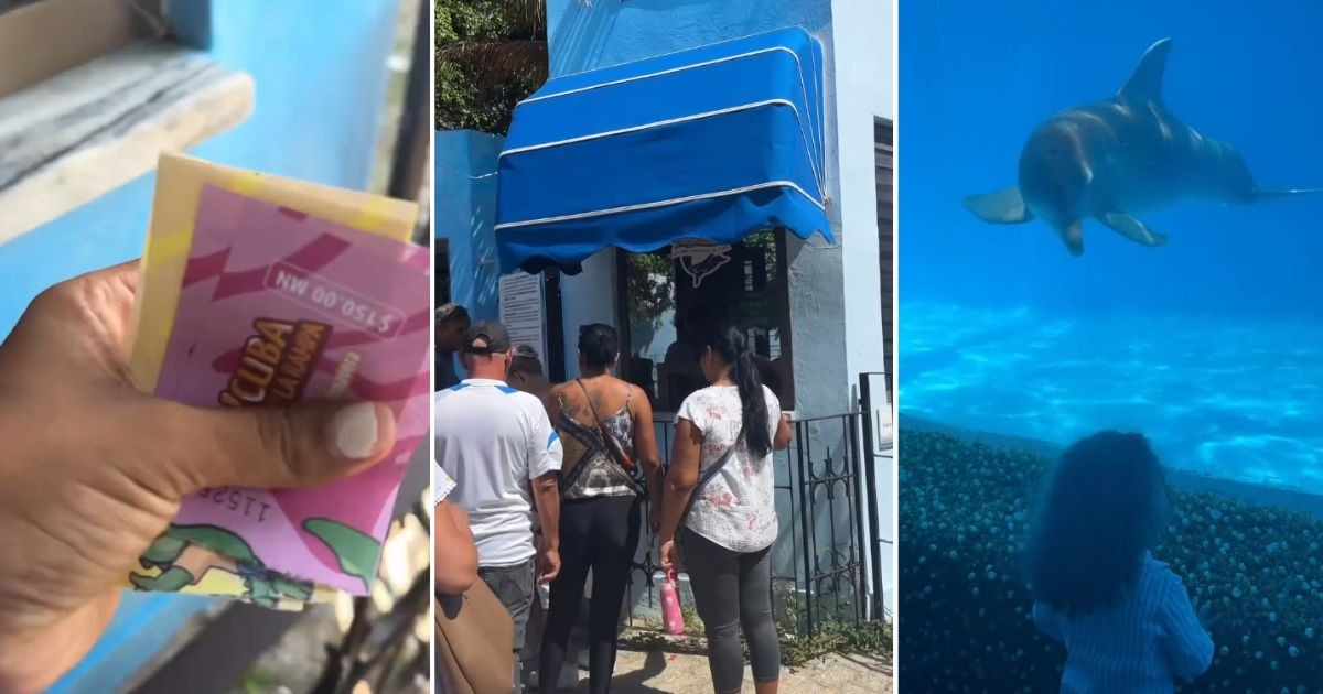 Elevated Prices at the National Aquarium of Cuba Raise Concerns Over Accessibility