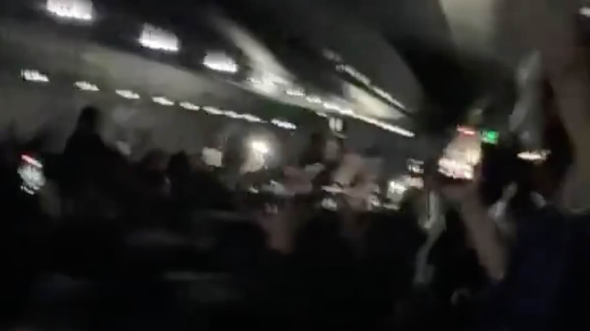 Pilot Pranks Argentina Fans on Flight After World Cup Final, Cutting Celebrations Short