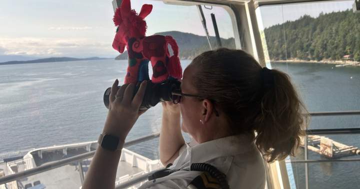 BC Ferries reunites lost donkey with owner after community effort