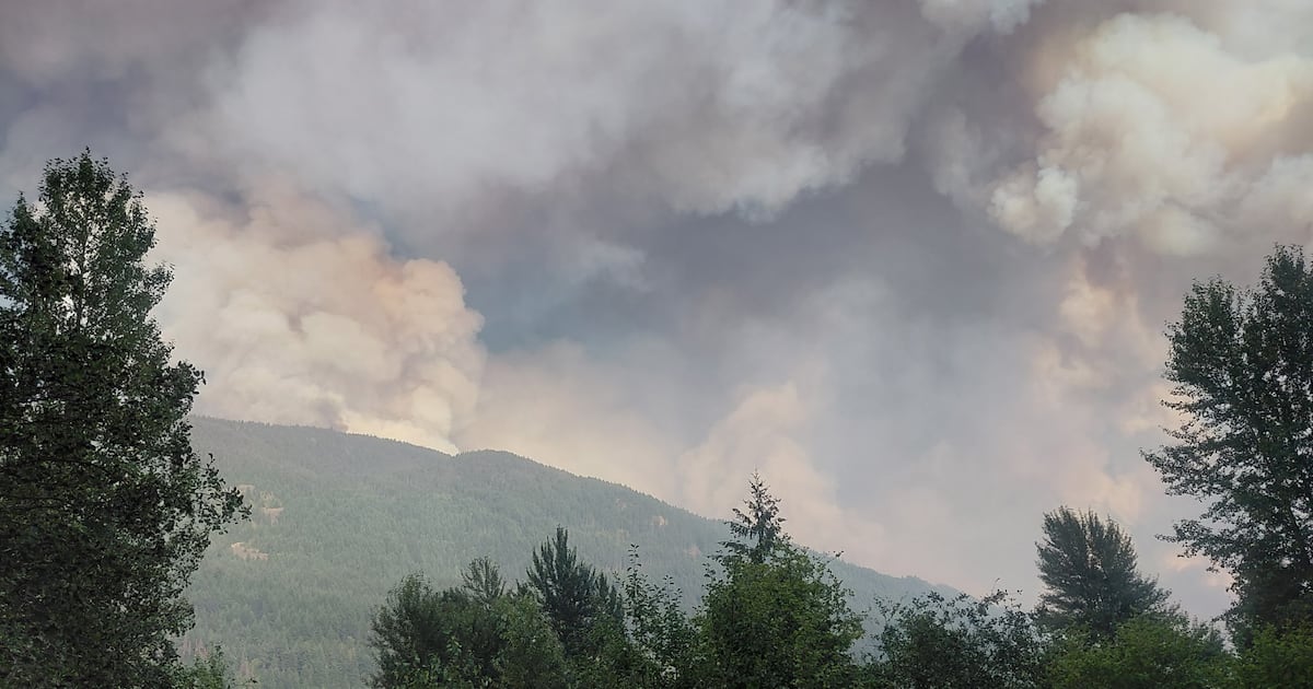 Wildfire near Boston Bar forces evacuations as flames spread rapidly