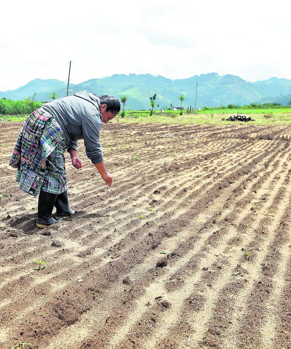 MAGA inicia proyecto para retener humedad y combatir sequía en Guatemala