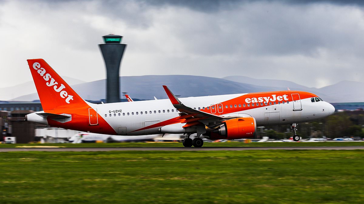 Passenger faces investigation after stealing flight attendant's uniform