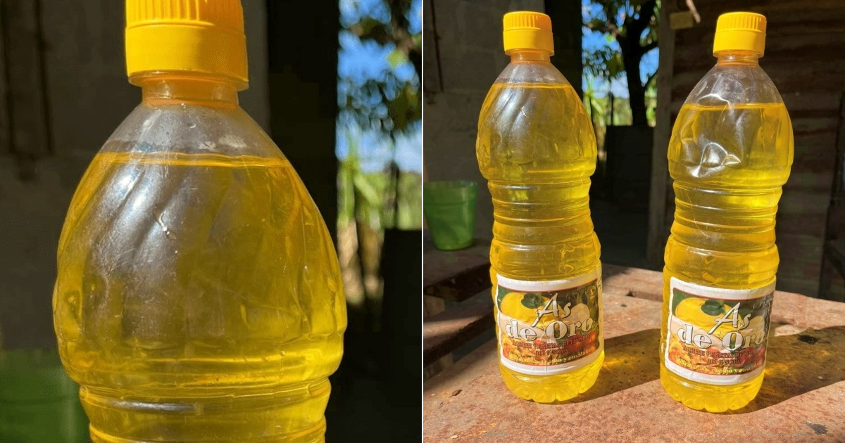 Aumento desbocado del aceite en Cuba: precios superan los 3,000 pesos en varias provincias
