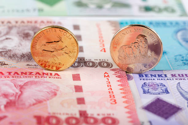 Tanzania diversifies financing by listing shilling bond on London Stock Exchange