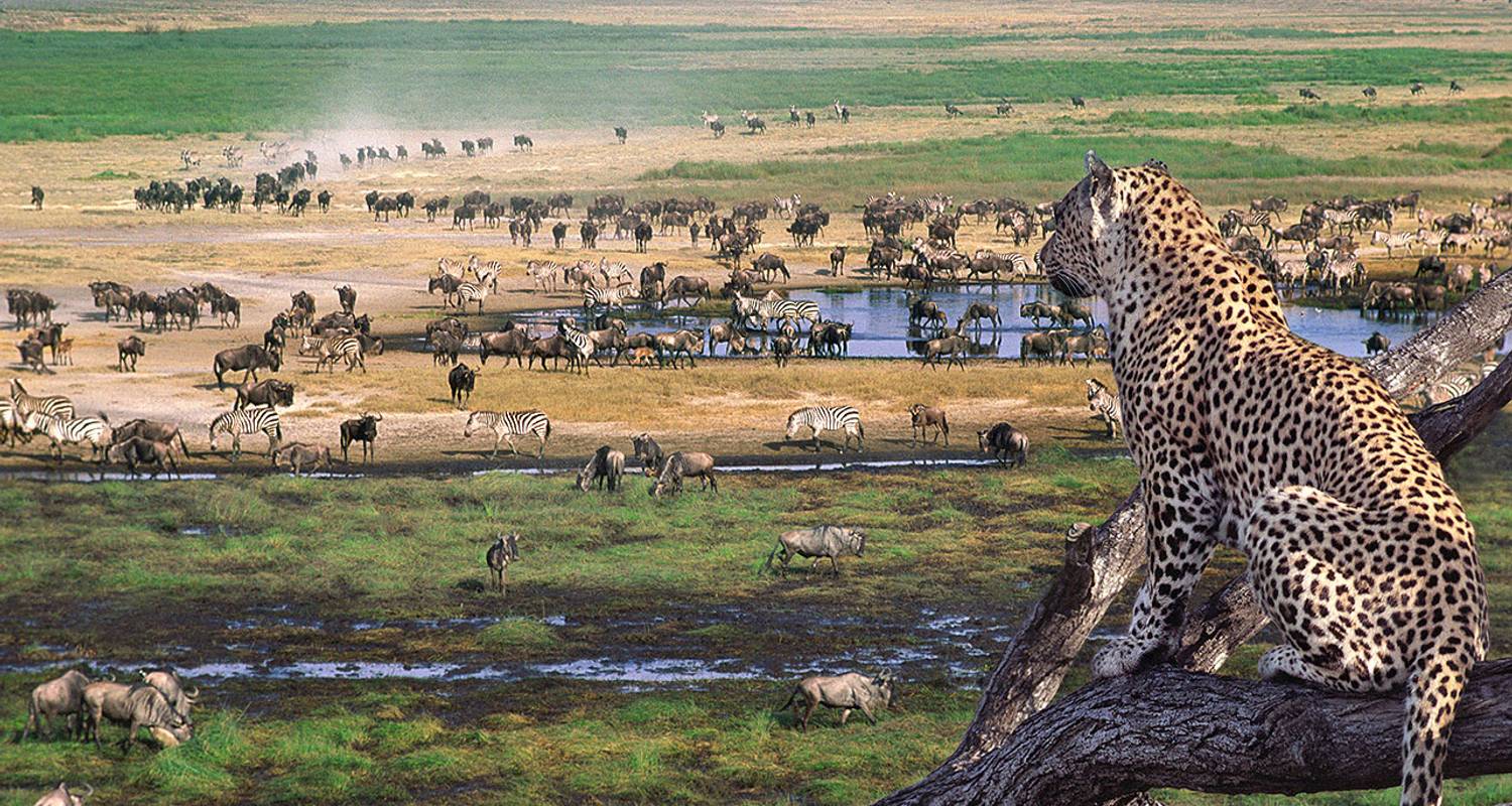 Tanzania Leads Kenya in Tourism Revenue Growth