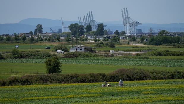 Alberta's proposed southern pipeline faces seismic, environmental and Indigenous challenges