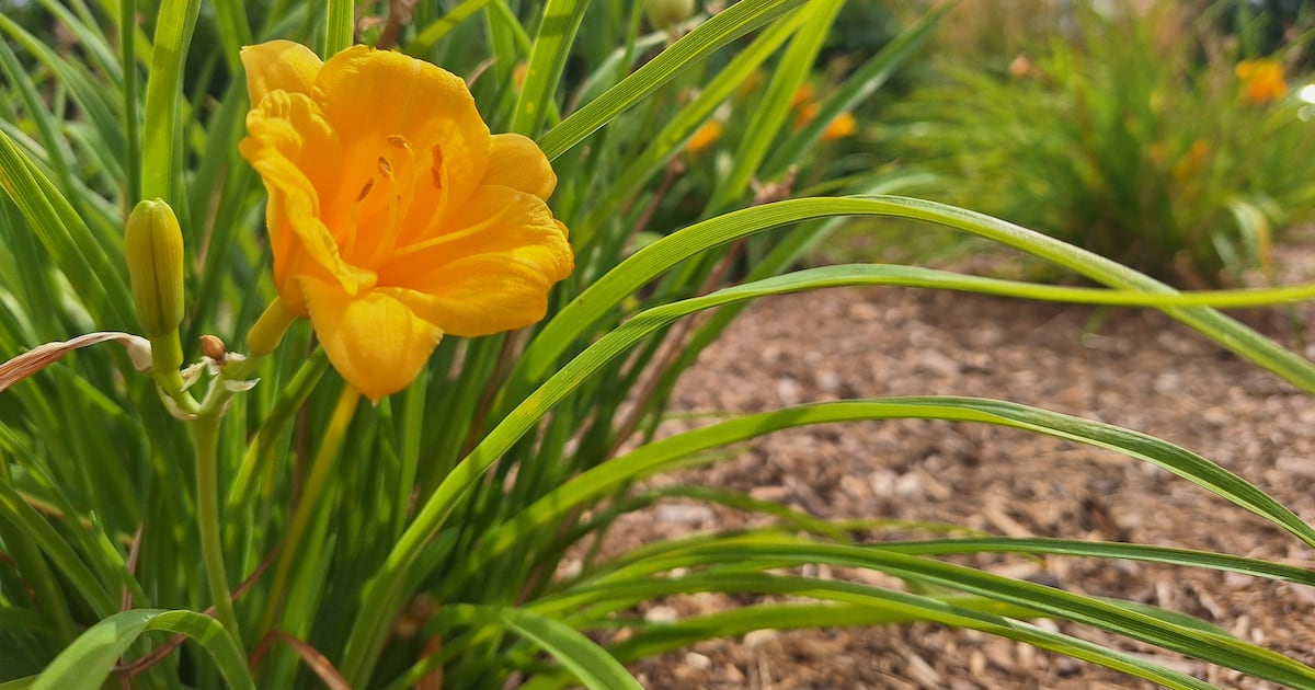 Guelph plant business faces significant theft loss